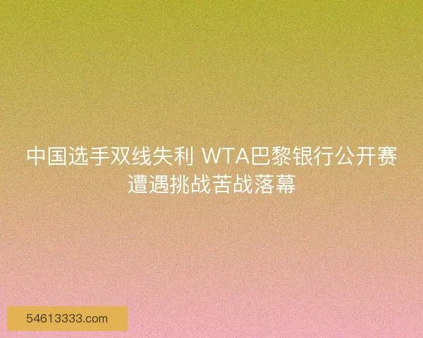 中国选手双线失利 WTA巴黎银行公开赛遭遇挑战苦战落幕